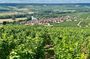 Moet et Chandon Pommery Pressoria Champagne Private trip