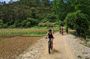 E-Bike & Wine Tasting Experience from Ericeira