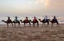 Tangier Camel Ride at Sunset with Moroccan tea and Sweets