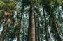 7 Hour Private Bandung City Tour