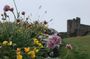 Haunted Northumberland Tours: Chillingham Castle & Coastal Ghosts