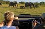 4 Day Luxe Garden Route Selection Small Group Tour from Cape Town