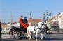 Copenhagen History Bike Tour