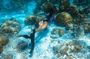 Discover Freediving in Koh Lanta, Thailand
