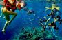 Paddleboard and Snorkeling Experience in Los Arcos