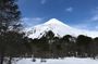 Trekking Andean Lagoons + Mapuche Cuisine