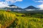 Experience the Best of Bali: Jatiluwih and Tanah Lot Sunset Tour
