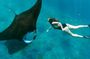 Nusa Penida Snorkeling Ocean Adventure from Bali