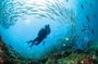8 Day Full Pack Galapagos Multi-Sport Adventure (4-5 Island Tour)