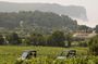 Cassis Domaine forest des janots and route des ridges en Buggy