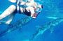 Whale Watching and Tumalog Falls with Ocean View Resort