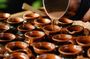 8 Days Jungle & Culinary Experience from San Jose