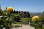 Private Night/Day Alhambra with Nasrid Palaces