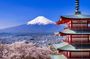 Mount Fuji Full Day Sightseeing Tour from Tokyo
