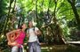 San Francisco Excursion: Guided Tour to Muir Woods and Sausalito
