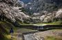 Yoro Falls and Mt. Gozaisho Scenic Ropeway from Nagoya
