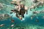 Rosario Islands and Playa Blanca Tour with Snorkeling or Aquarium