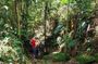 Gold Trail Atlantic Forest Walk