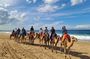 From Tangier: Cap Spartel and Hercules Cave with Camel Ride