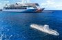 Atlantis Submarine Adventure Cozumel: Explore the Caribbean Reef