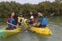 Mangrove Kayaking Purple Island Adventure