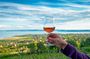 Lake Balaton Escape: Private Wine Tasting & Tihany from Budapest