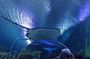 Private Tour: Kuala Lumpur City Highlights And Batu Cave Day Tour