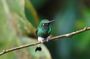 All Inclusive Multi Day Tour in Andes