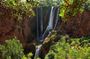 Ouzoud Waterfalls Full-Day Tour from Marrakech