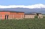 Exclusive Wine Tasting Tour Luján de Cuyo