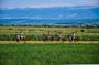 All-inclusive Horse riding & Jeep exploring