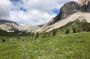 Naturalist Guided Hiking To Black Leaf Canyon