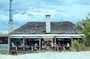 Visit Garzon Winery and Jose Ignacio. Private Driver.