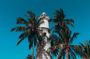 Southern Coast Highlights from Koggala