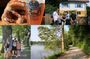 Dragon Slayer Way Beer Hike Food Experience Private Tour (departs Munich)