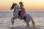 Horse Riding & Camel Beach, Desert, Swim, Sunrise & Sunset-Hurghada