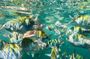 Local Adventure Snorkeling in Majahuitas and Relaxation Day on the Beach
