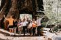 San Francisco to Yosemite One-Way Transfer