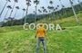 Tour in the Cocora Valley short