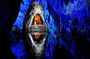 Nemocón Salt Mine Full service: Guide, tickets and transfers