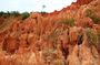 Discovery of red tsingys for cruise passengers