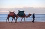 Tangier Private Tour: Medina, Cap Spartel, Caves & Camel Ride
