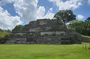 Private Altun Ha Maya Ruins & Farm-to-Table CatchYourOwnLunchTour