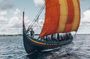 Private Tour to Vikings City Roskilde from Copenhagen