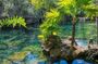 Snorkeling in the cenotes