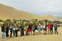 Full Day Tour from Paracas to Ica Huacachina from Lima