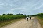Chianti Classico Ebike Experience Tour and Wine Tasting