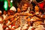 Sri Lanka Cultural and Highlights Private Tour