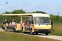 From Miami: Everglades Nature and Wildlife Tram Adventure