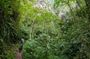 Private Tour through the Chicaque Natural Park and Forest of Fog